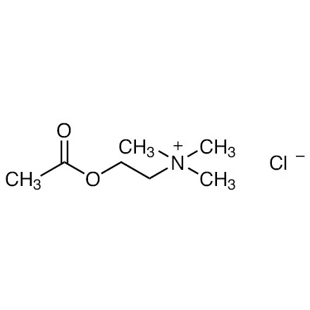 CAS:60-31-1|Acetylcholin chlorid