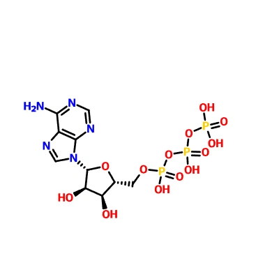 CAS: 56-65-5 adenosintrifosfát