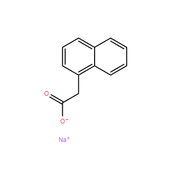 CAS 61-31-4|Naftalen-1-acetát sodný