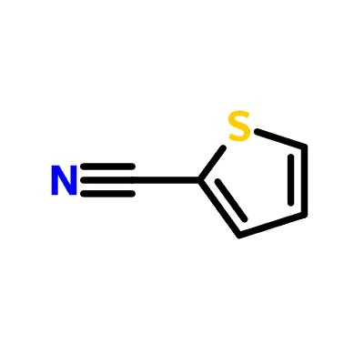 CAS:1003-31-2|Thiofen-2-karbonitril