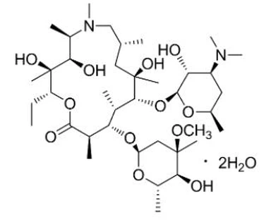 CAS:117772-70-0丨Azithromycin dihydrát